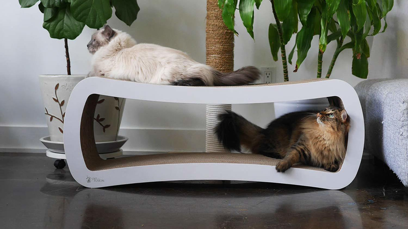 Rascador PetFusion para gatos | $50 | AmazonGráfico: Erica Offutt